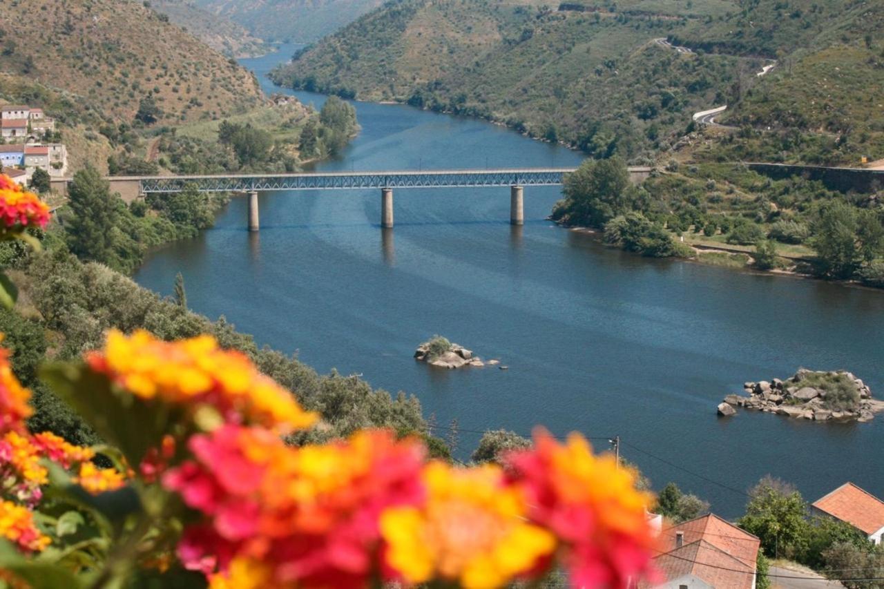 Quinta Do Belo-Ver Turismo De Habitacao Belver  Екстер'єр фото